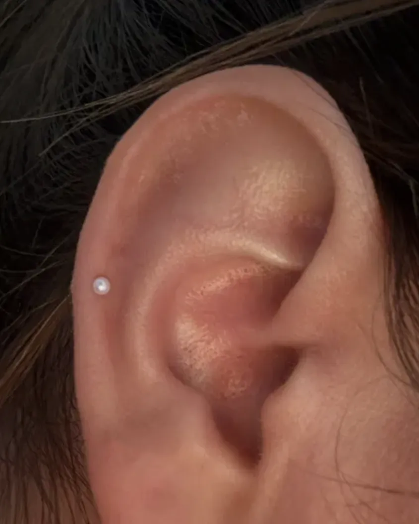 14k Mini Pearl Studs