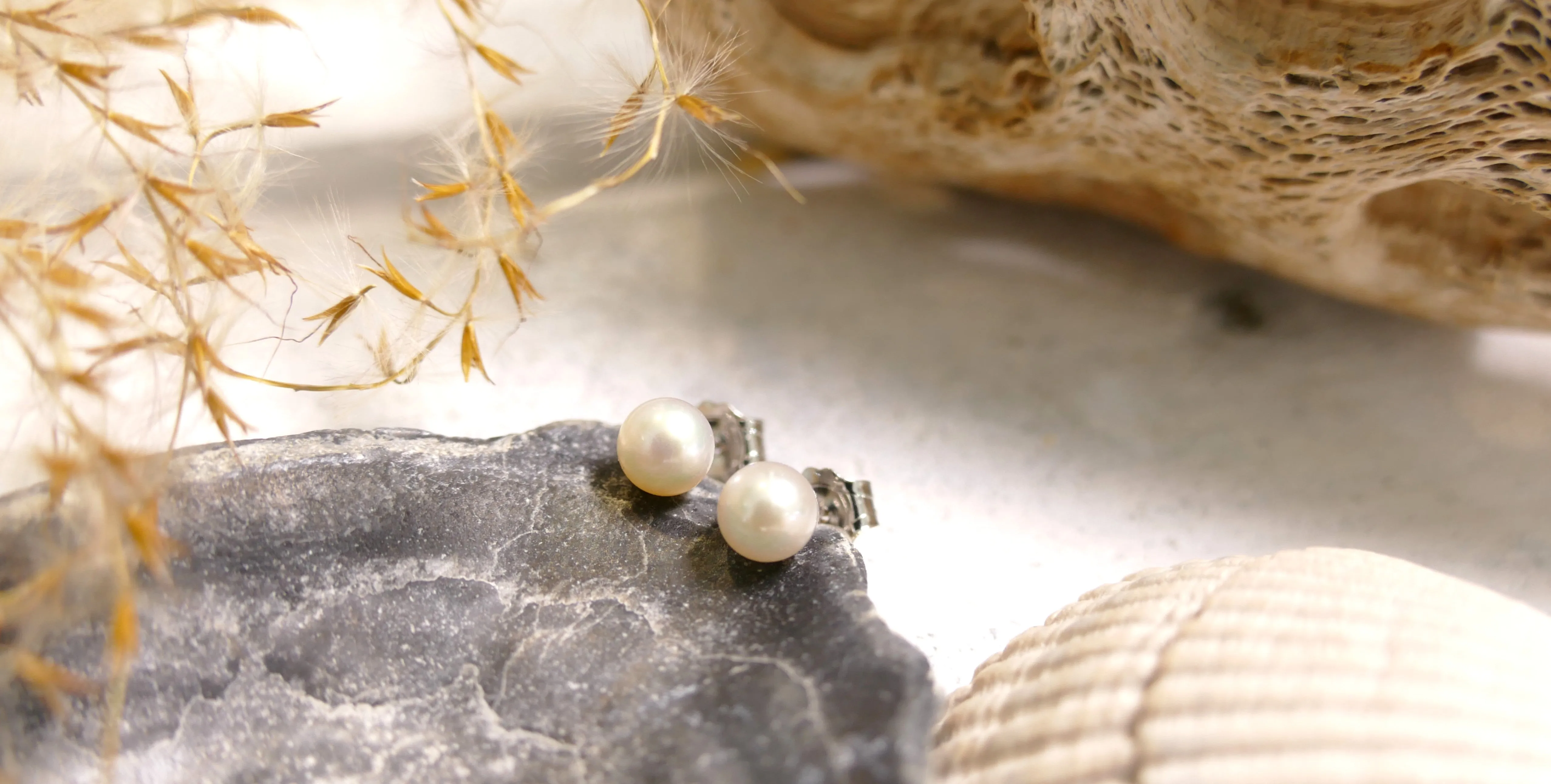 14k White Gold Small Akoya Pearl Stud Earrings