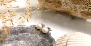 14k White Gold Small Akoya Pearl Stud Earrings