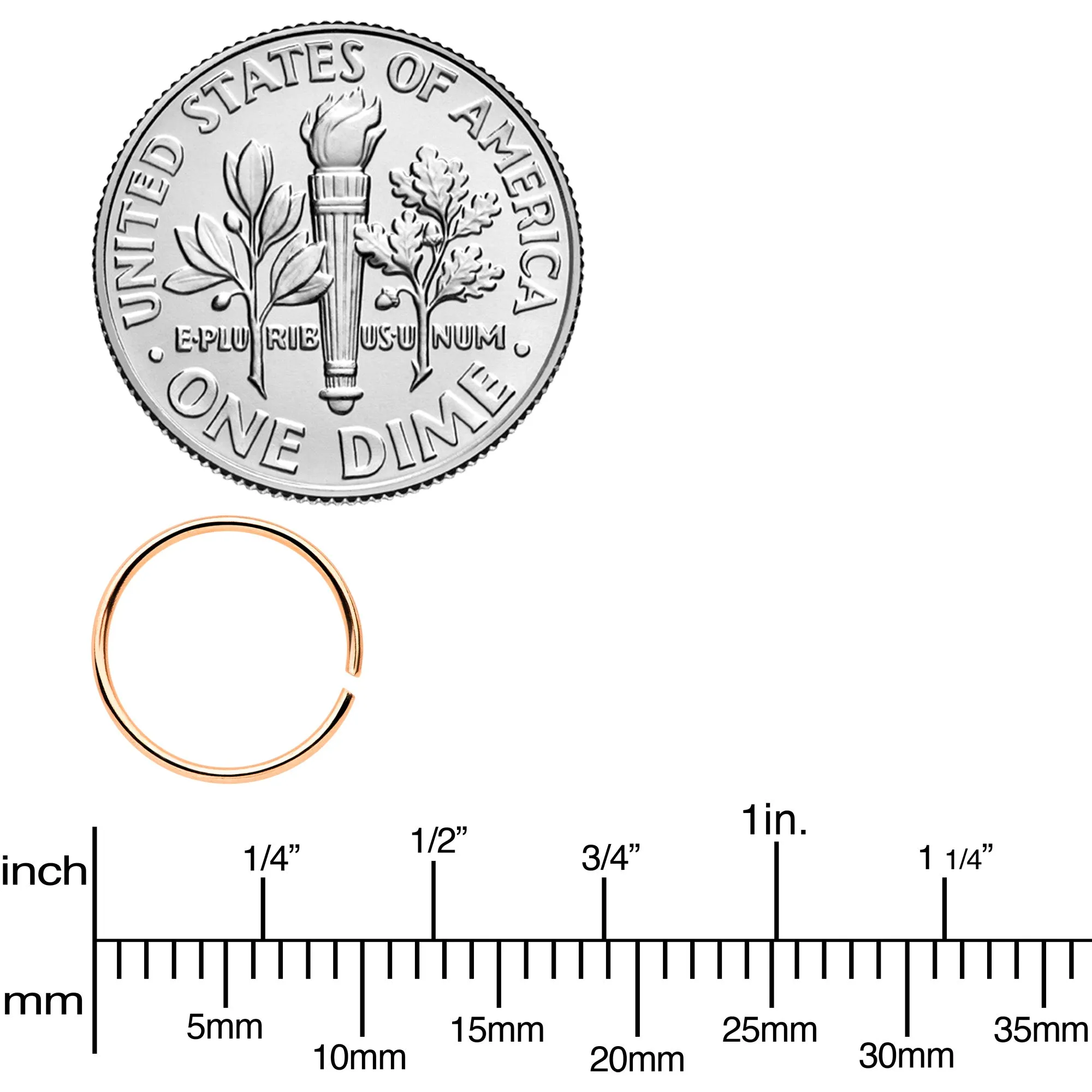 22 Gauge 5/16 Rose Gold Tone Anodized Seamless Circular Ring Set of 12