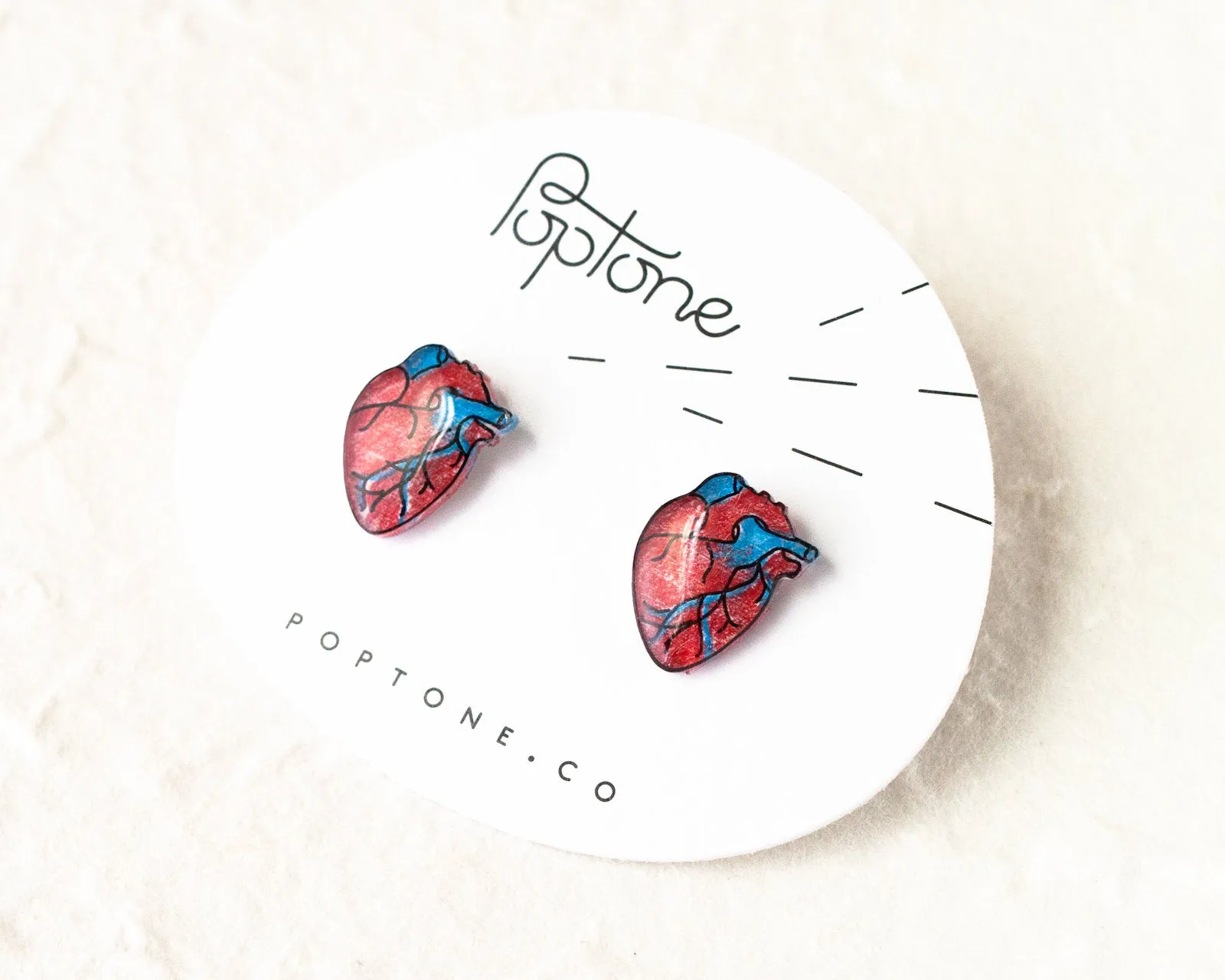 Anatomic Human Heart Stud Earrings