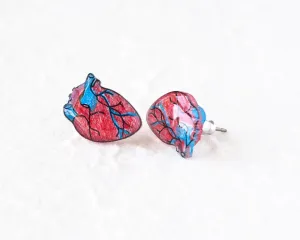Anatomic Human Heart Stud Earrings