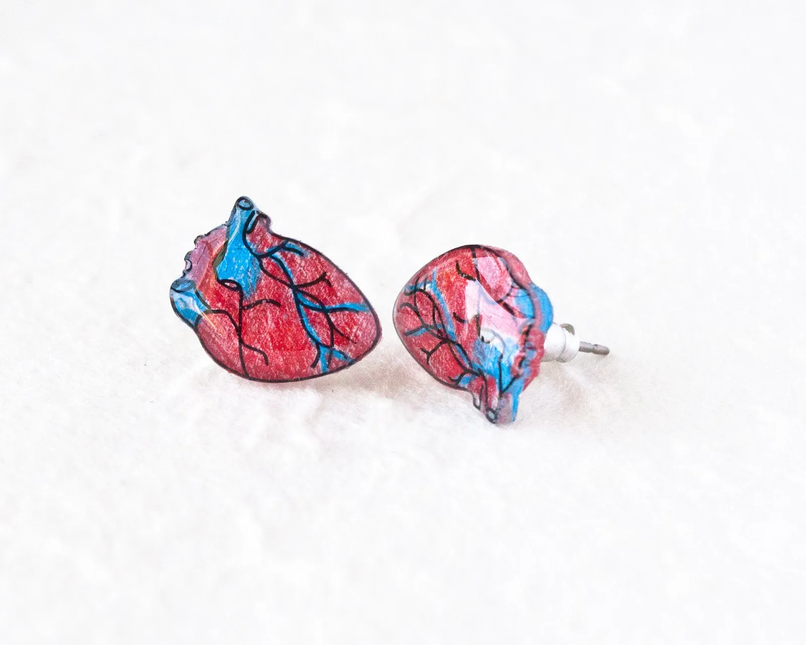Anatomic Human Heart Stud Earrings
