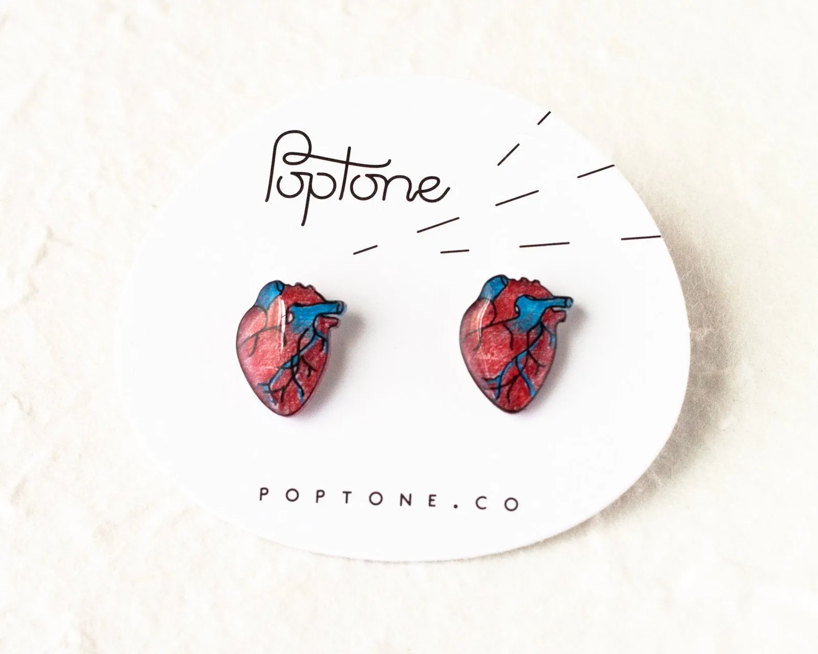 Anatomic Human Heart Stud Earrings