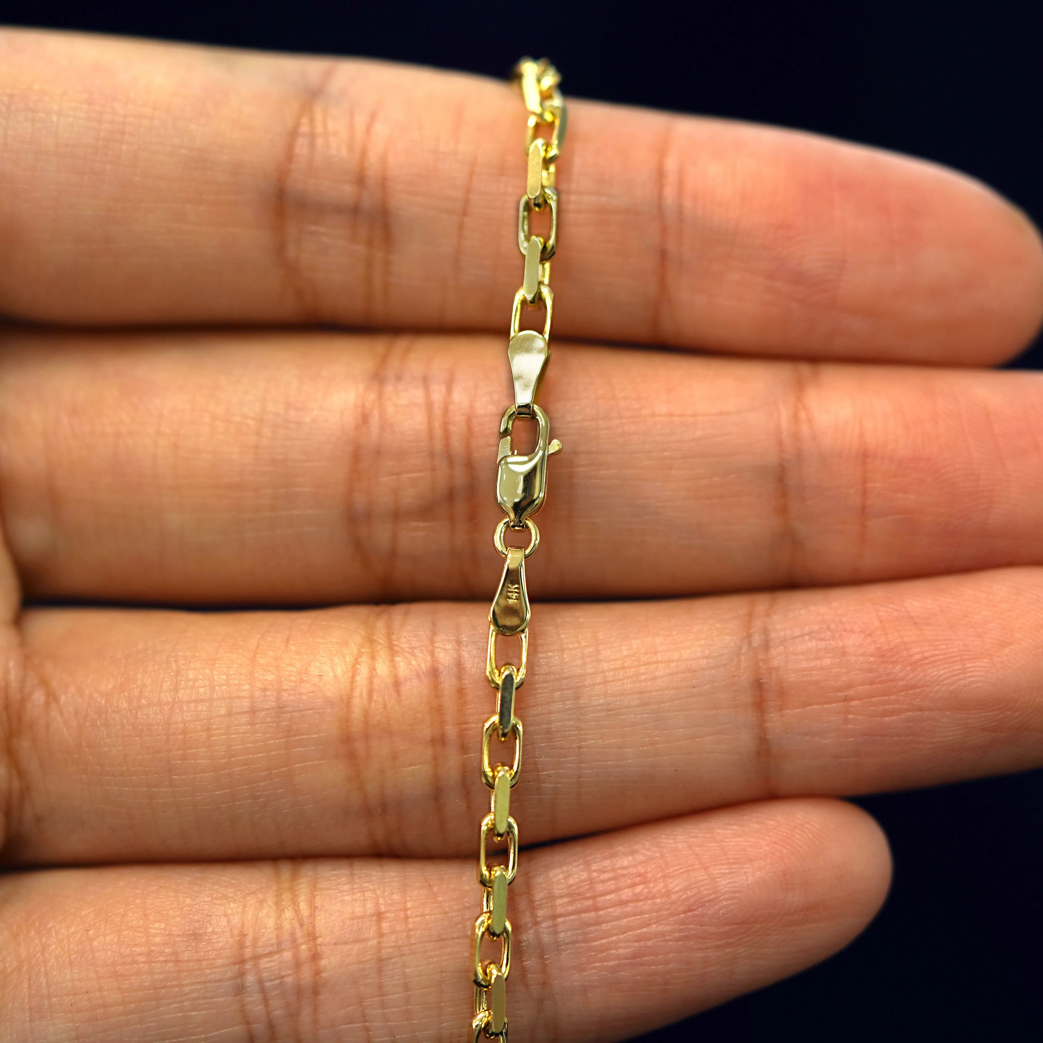 Anchor Chain