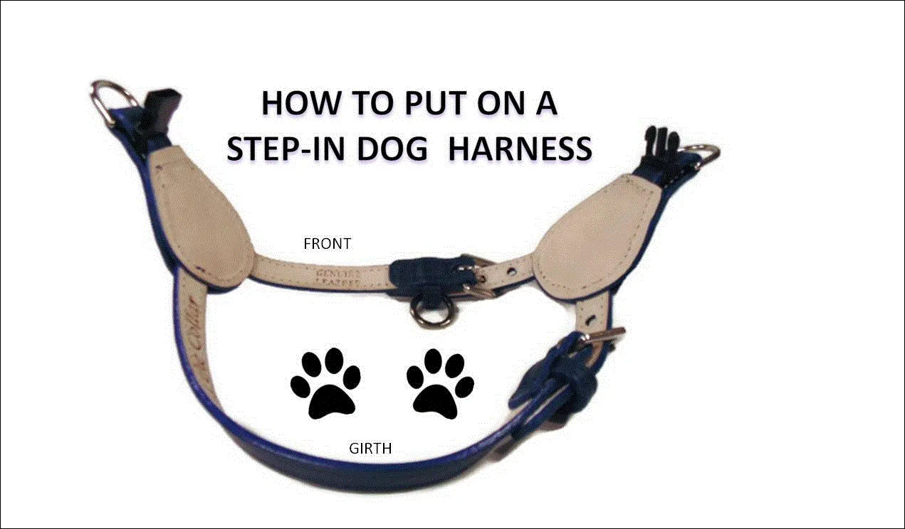 Bow Leather Step-In Dog Harness