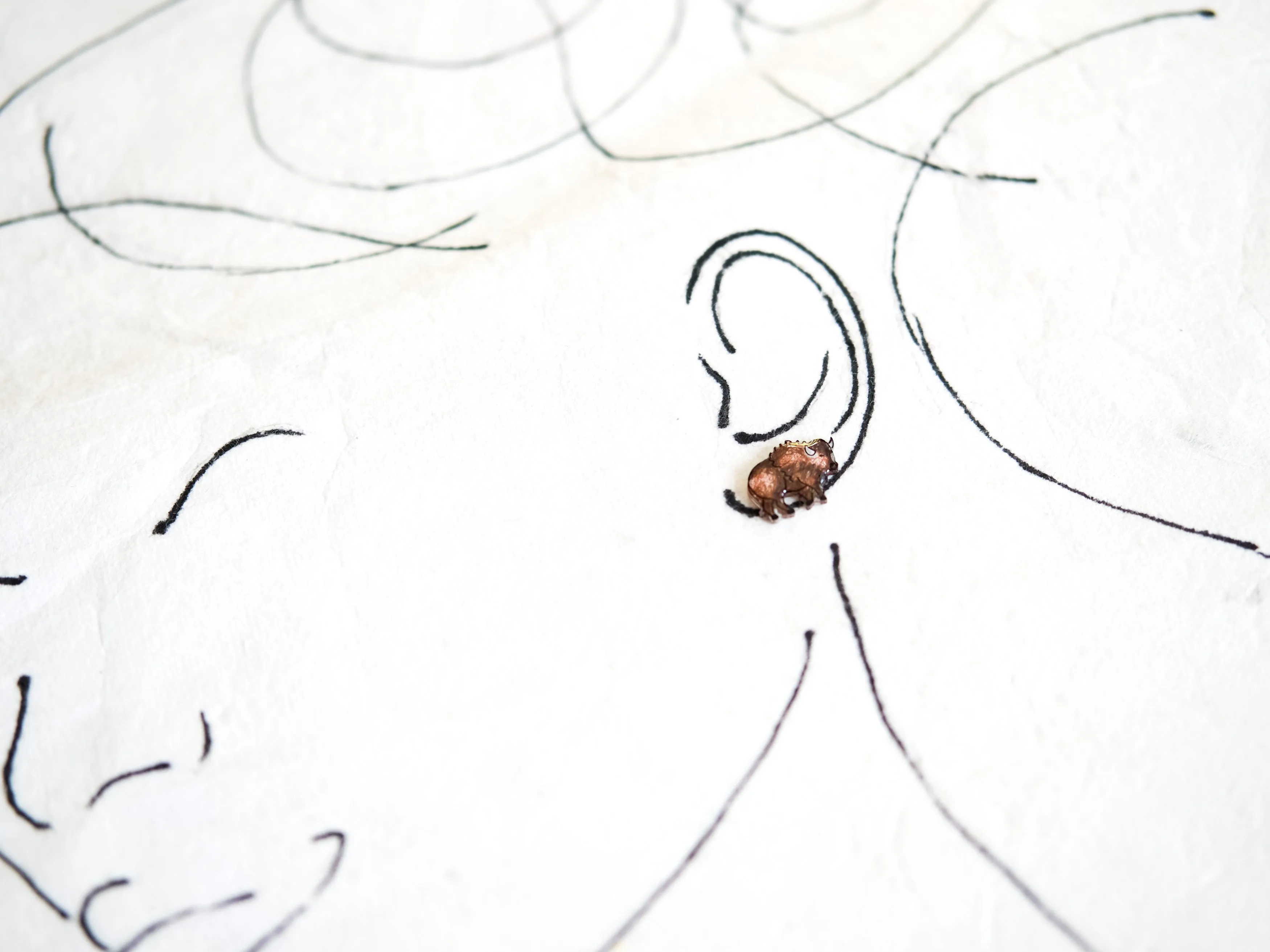Buffalo Bison American Wildlife Animal Stud Earrings
