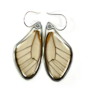 Butterfly Wing Earrings, Amber Phantom, top wings