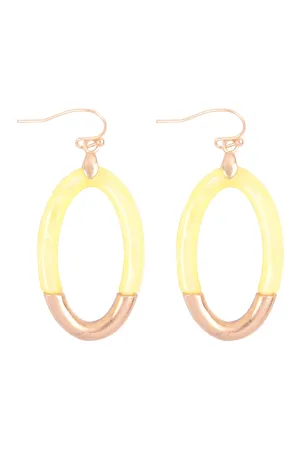 CAST OVAL MIX RESIN DANGLE HOOK EARRINGS