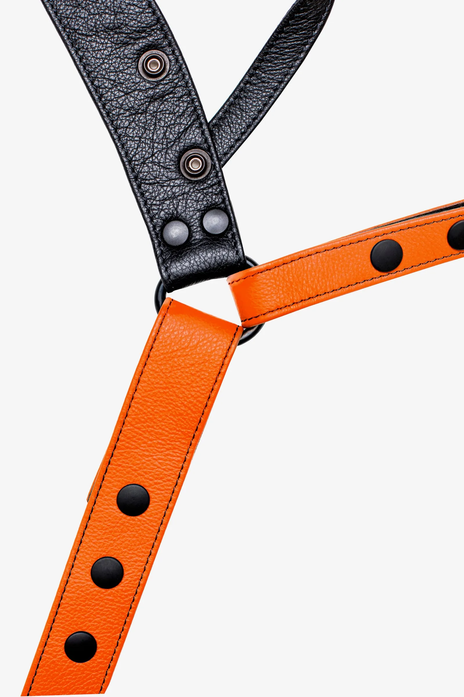 CHEVRON JOCK - Colour 3.0