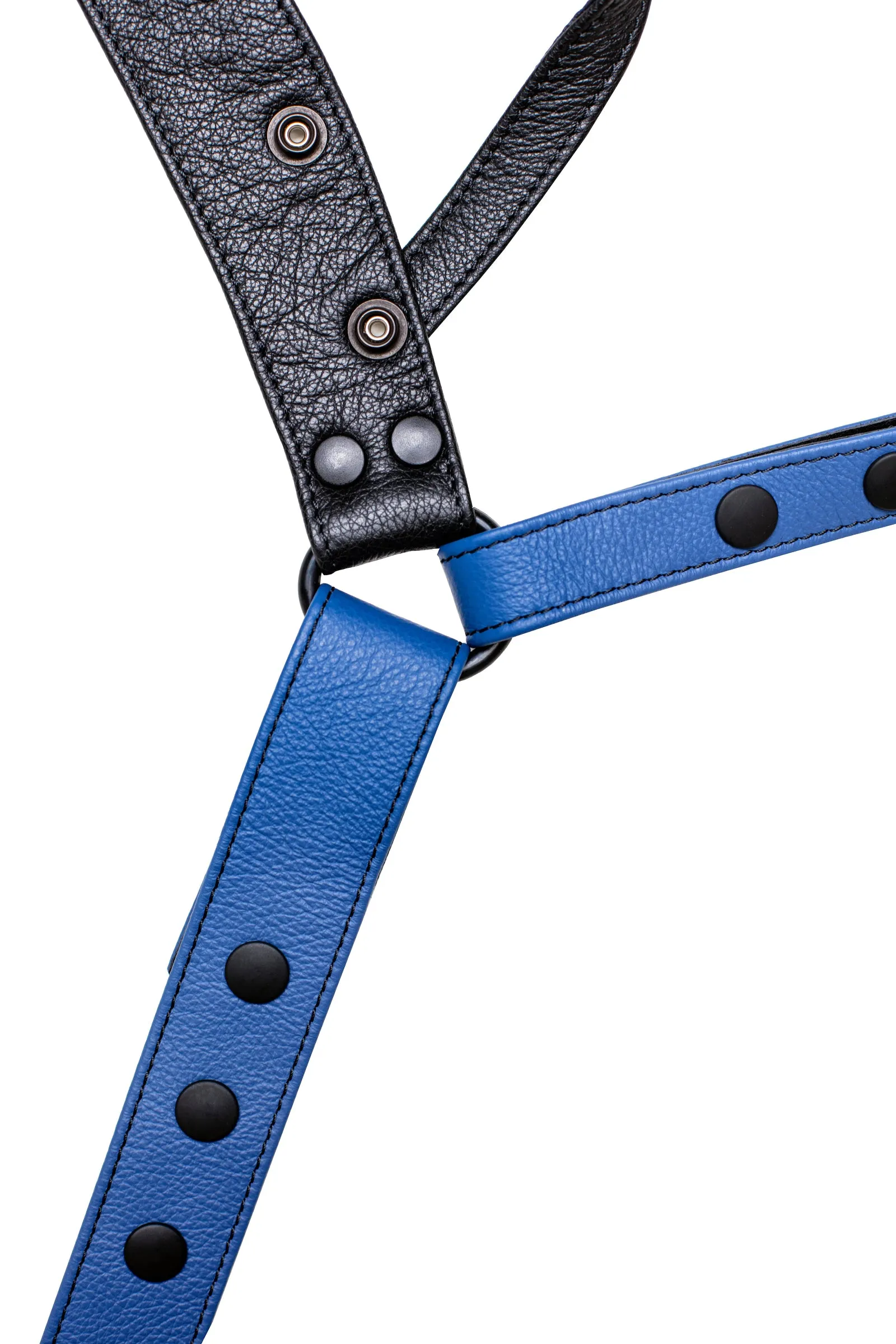 CHEVRON JOCK - Colour 3.0