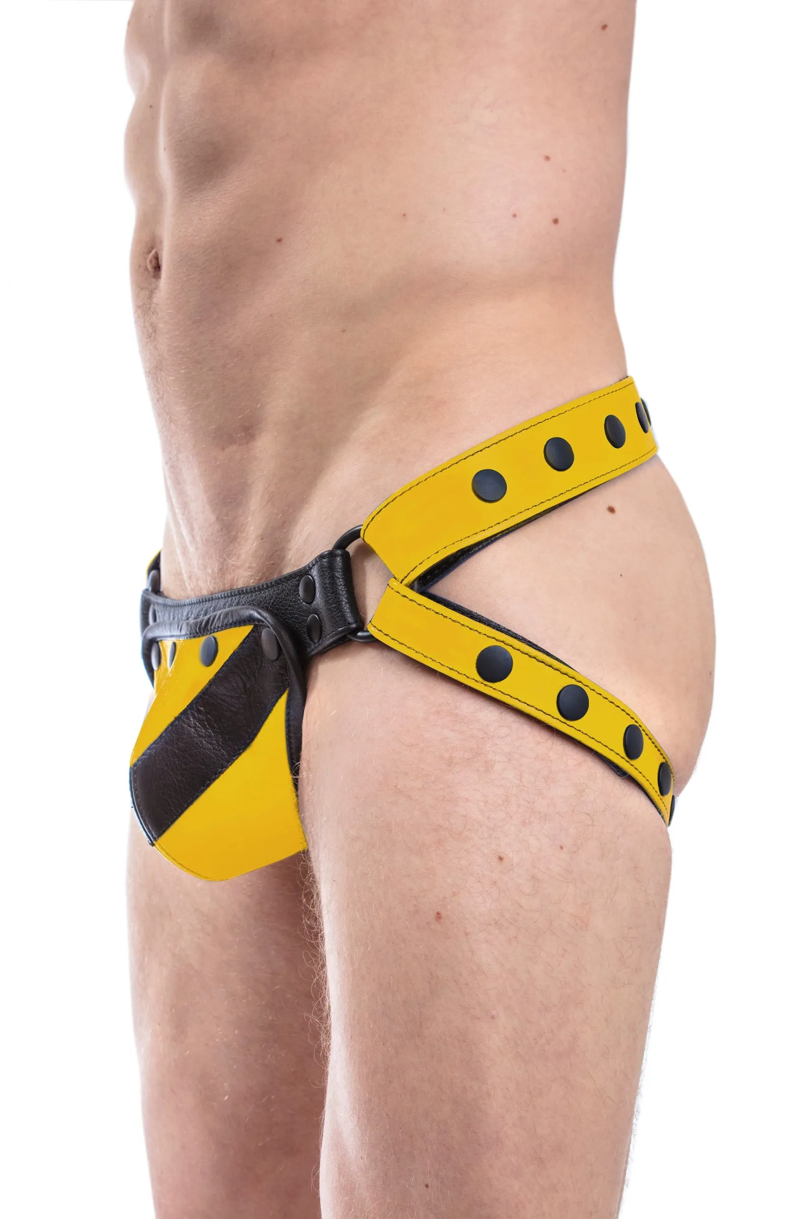 CHEVRON JOCK - Colour 3.0