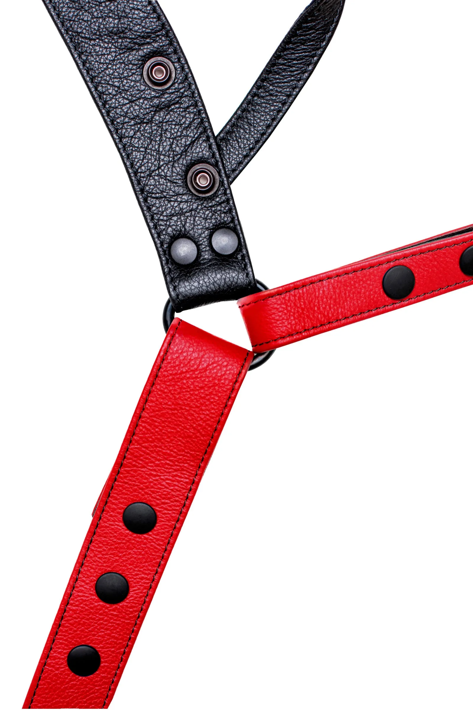 CHEVRON JOCK - Colour 3.0
