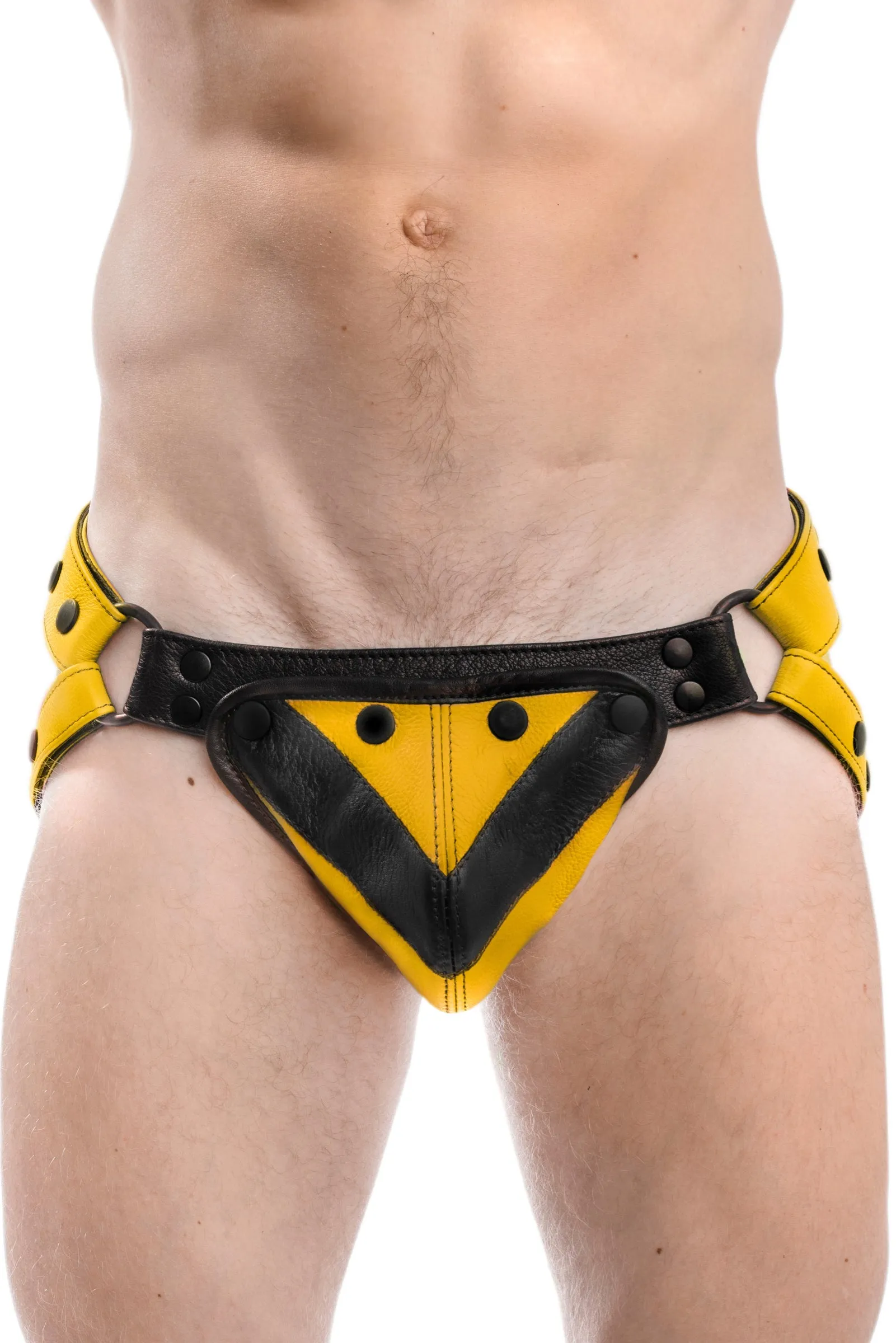 CHEVRON JOCK - Colour 3.0