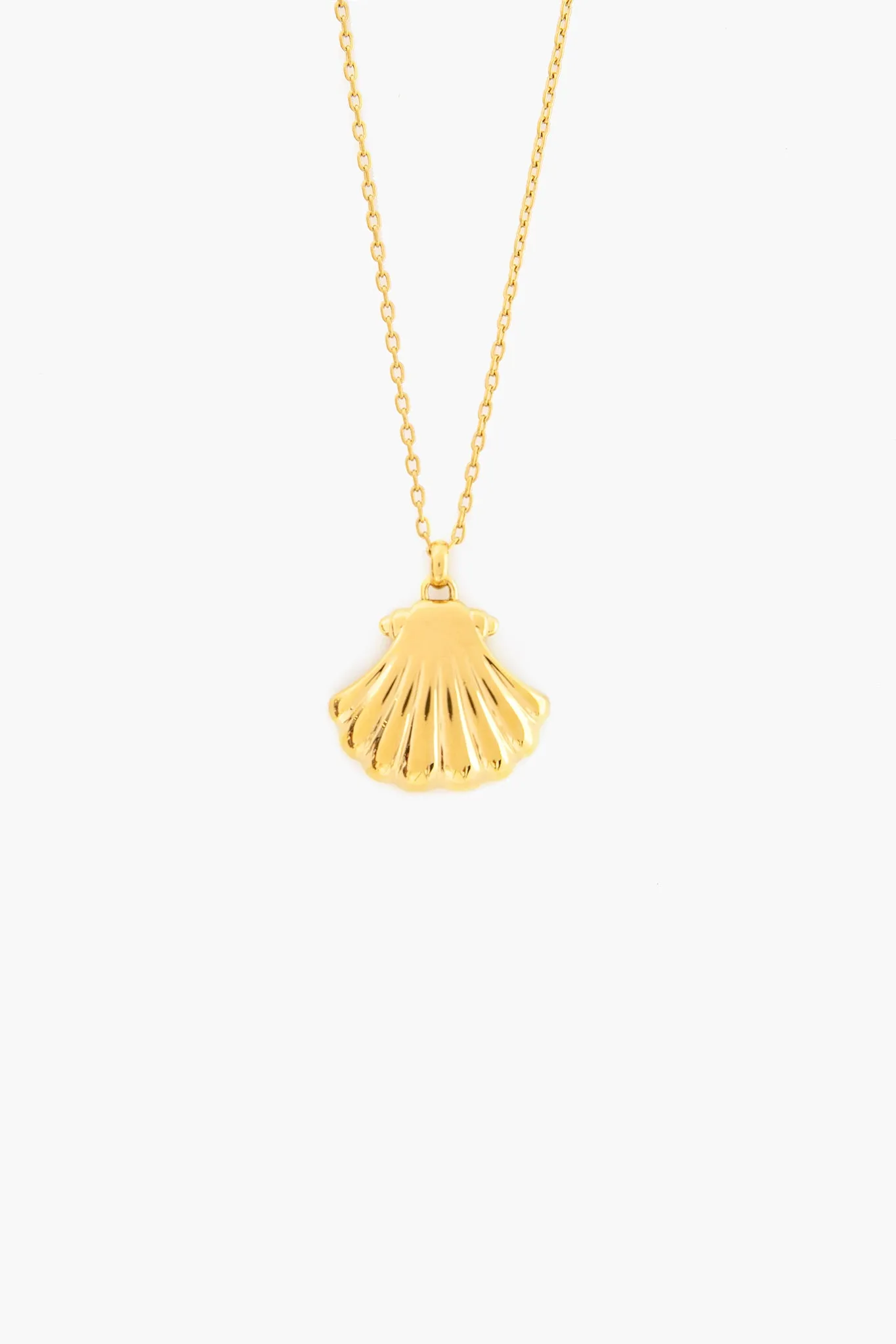 Clam Shell Charm