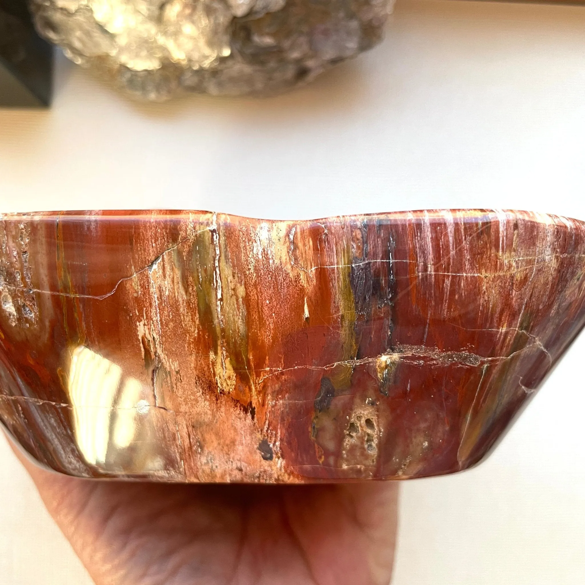 Earthly Petrified Wood Bowl