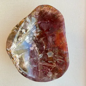 Earthly Petrified Wood Bowl