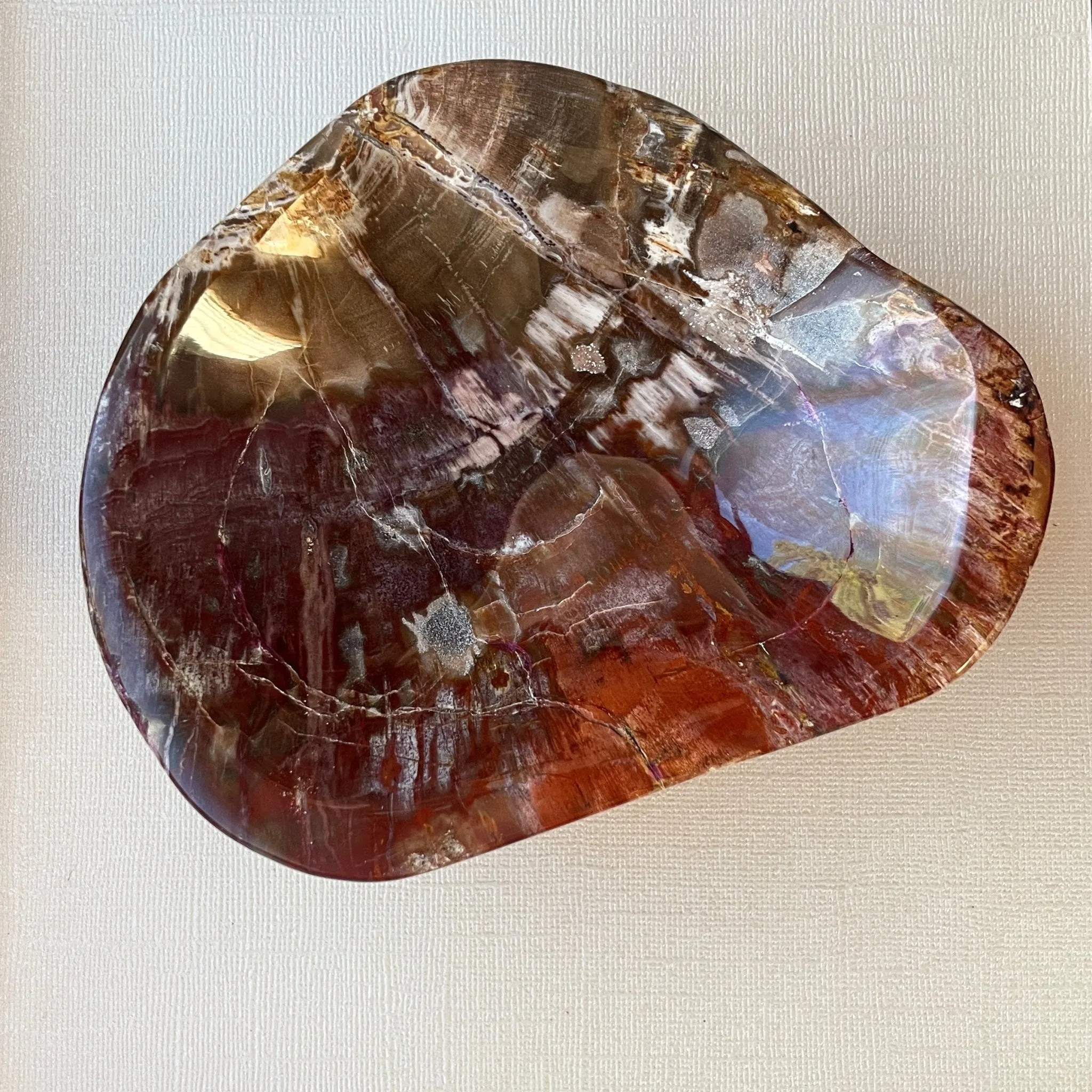 Earthly Petrified Wood Bowl