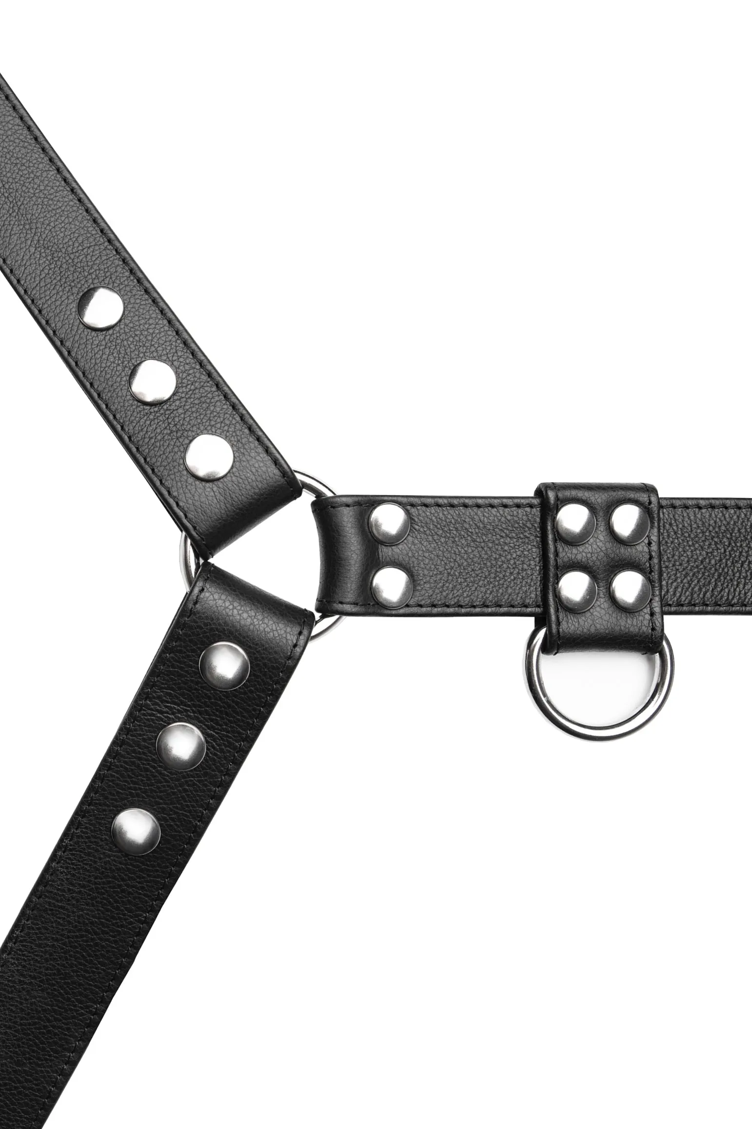 FULL BULLDOG KIT - Stainless Steel