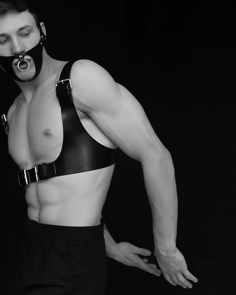 Harness "Bruce" Black