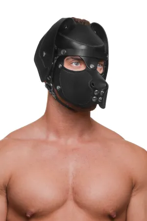 HEAD HARNESS PUP "RANGER" - Stainless Steel