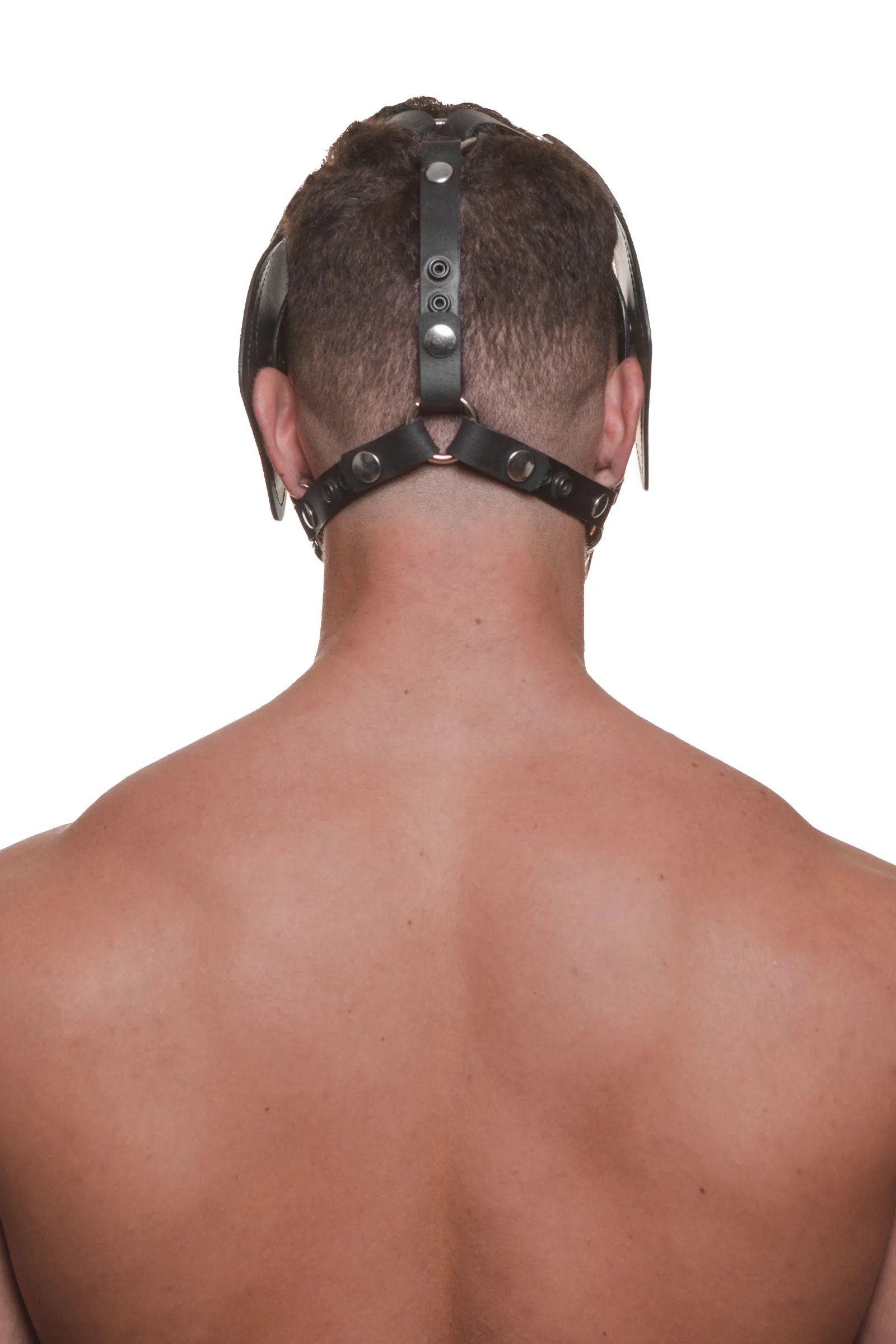 HEAD HARNESS PUP "RANGER" - Stainless Steel