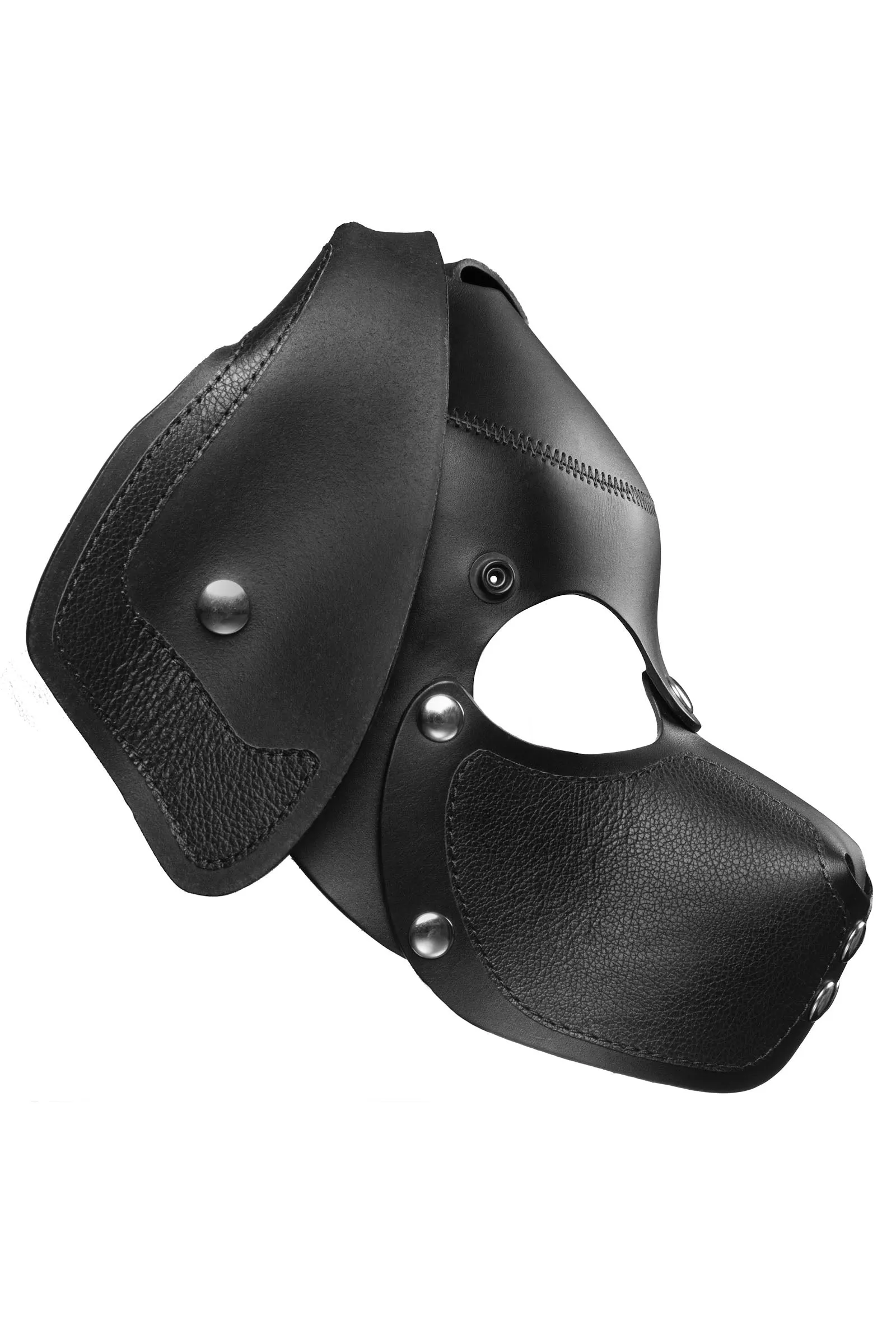 HEAD HARNESS PUP "RANGER" - Stainless Steel