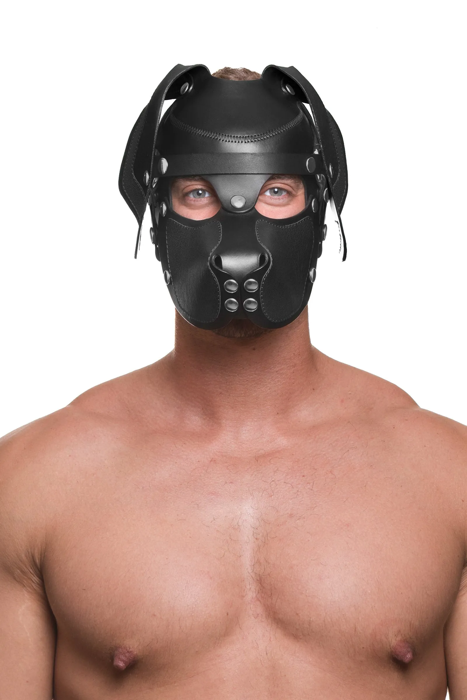 HEAD HARNESS PUP "RANGER" - Stainless Steel