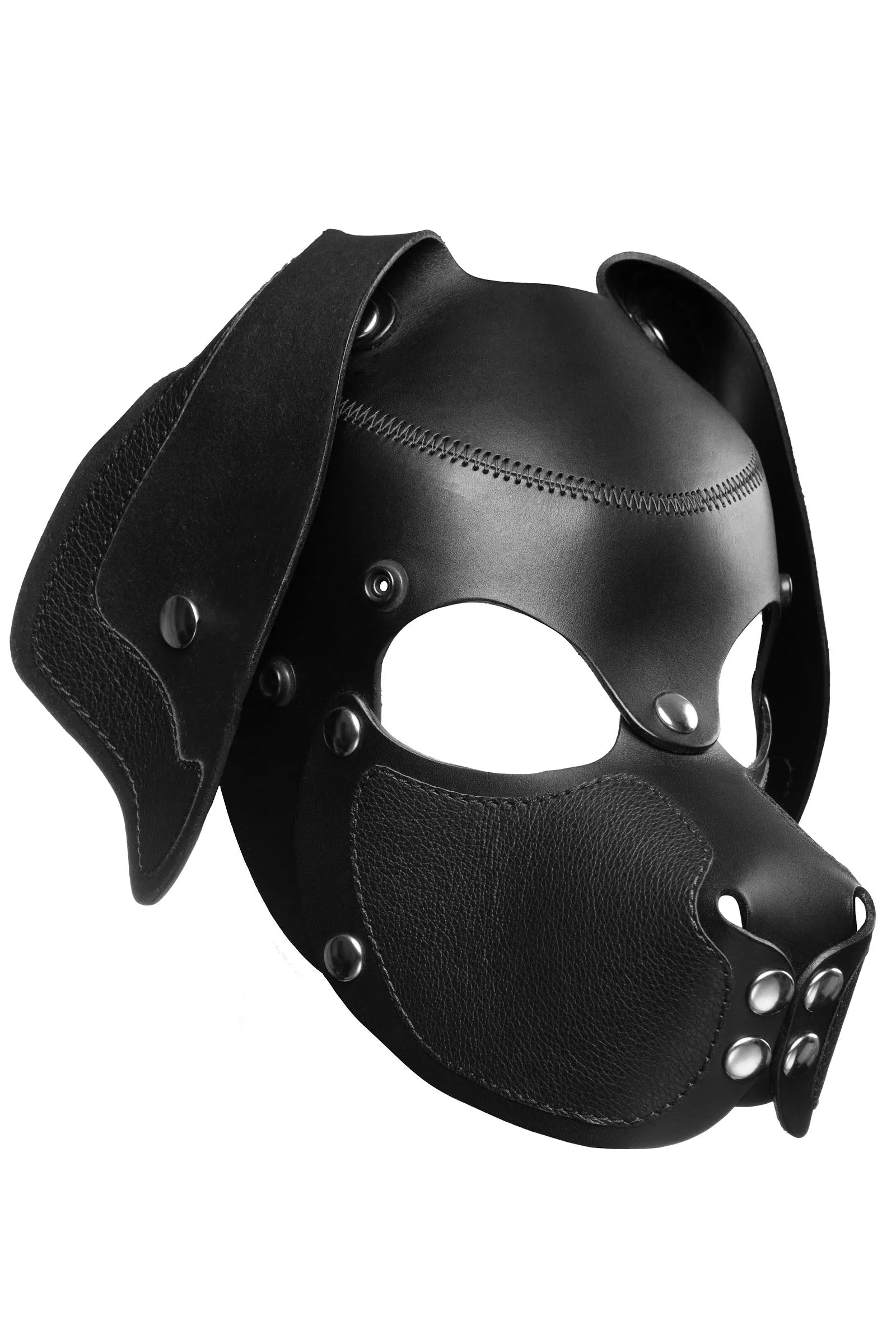HEAD HARNESS PUP "RANGER" - Stainless Steel