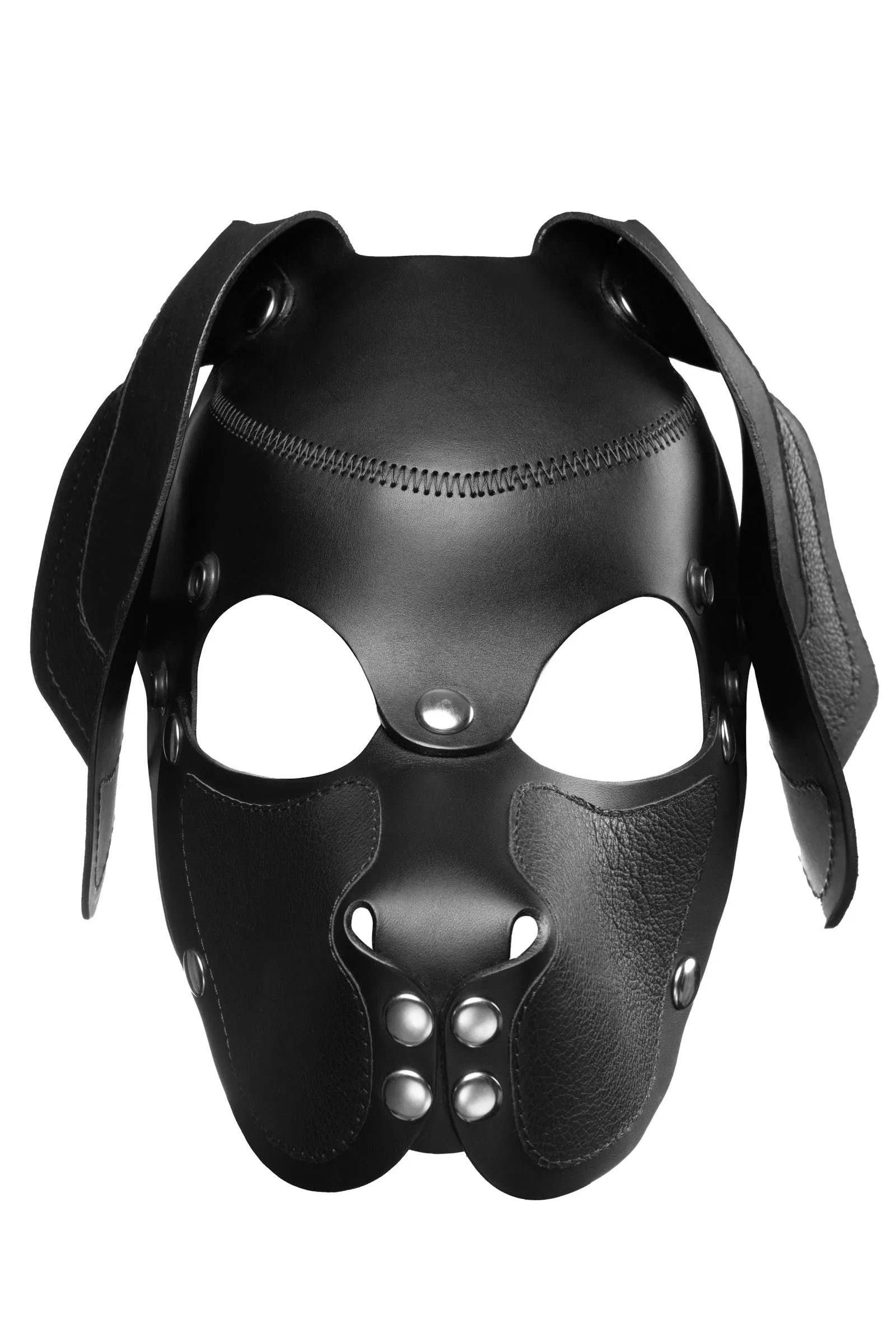 HEAD HARNESS PUP "RANGER" - Stainless Steel