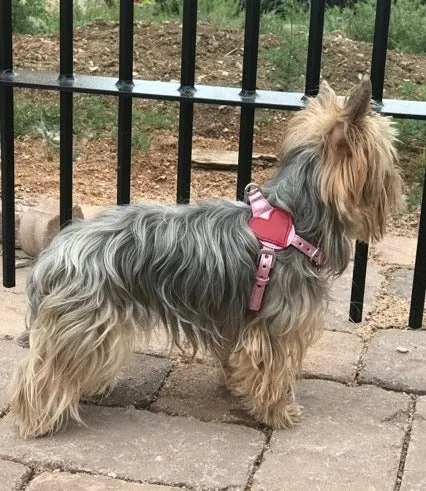 Heart Leather Step-In Dog Harness