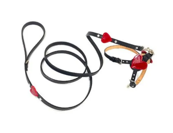 Heart Leather Step-In Dog Harness