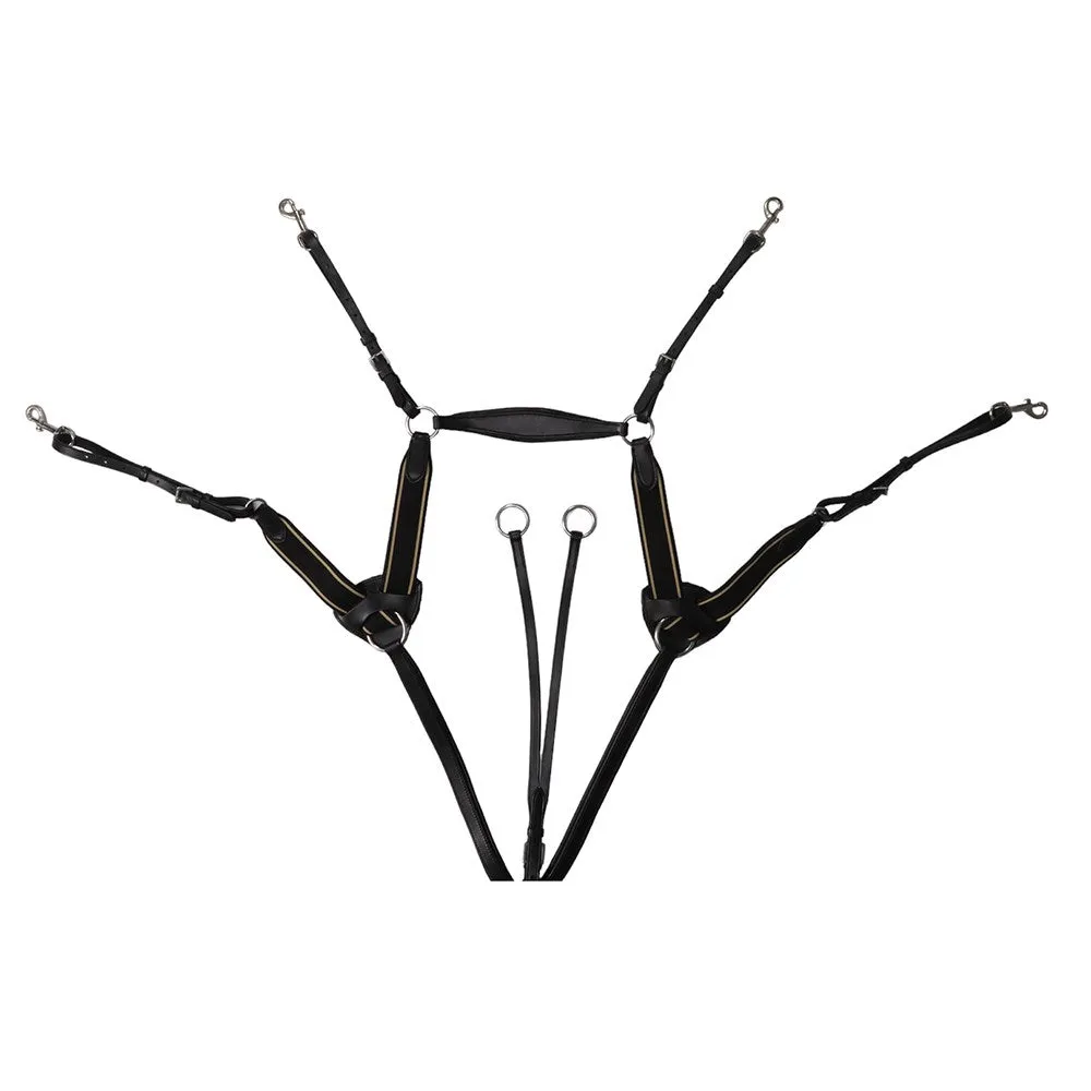 Jeremy and Lord Five Point Breastplate