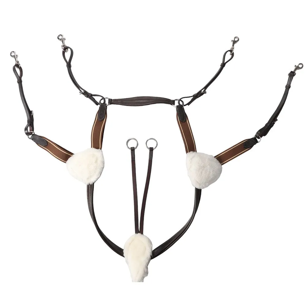 Jeremy and Lord Five Point Breastplate