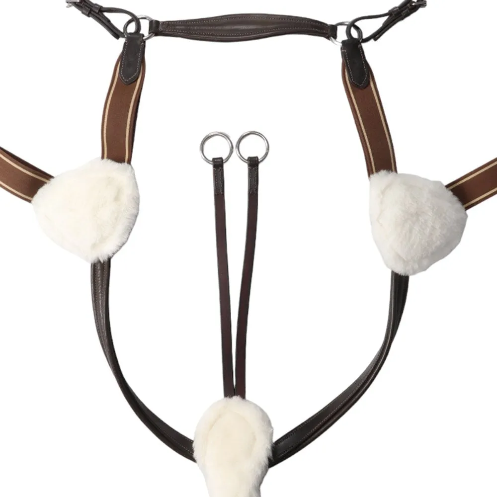 Jeremy and Lord Five Point Breastplate