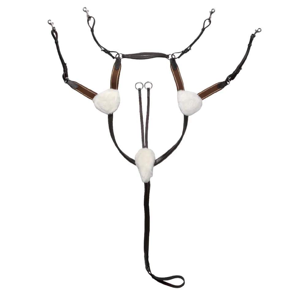 Jeremy and Lord Five Point Breastplate