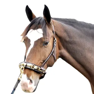Leather Lunging Cavesson