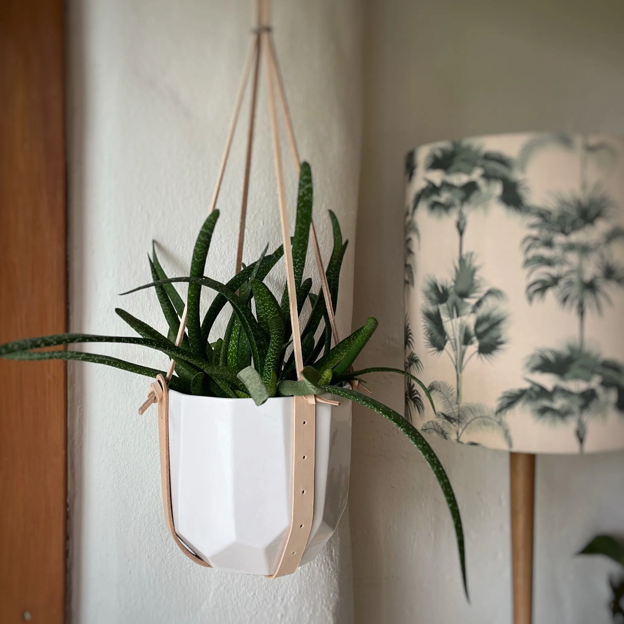 Leather Plant Hanger