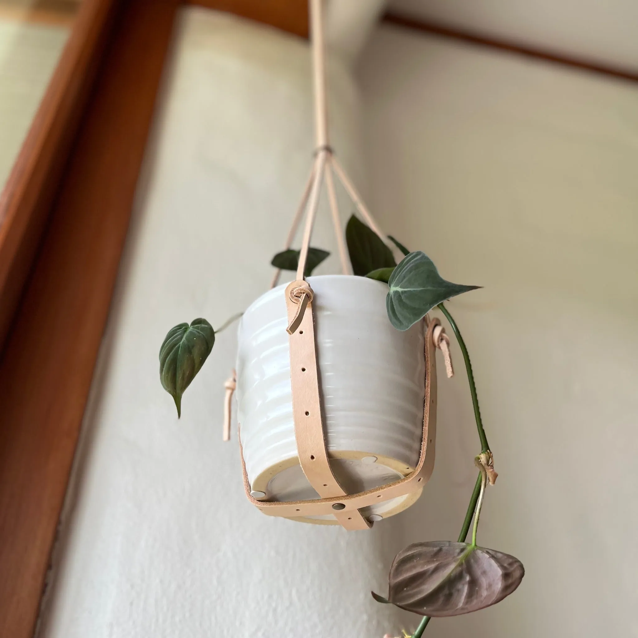 Leather Plant Hanger