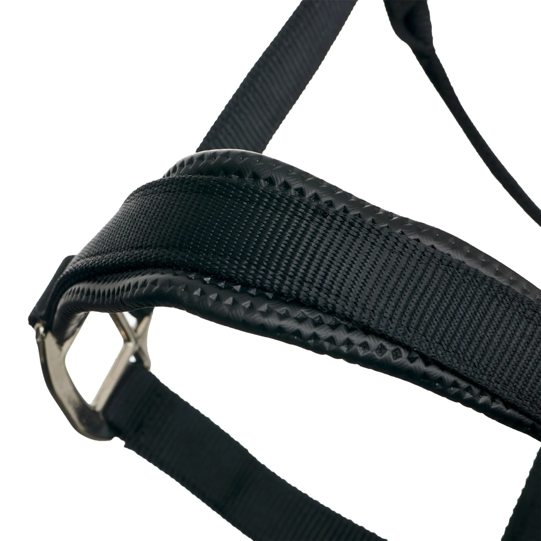 LeMieux Break Away Headcollar