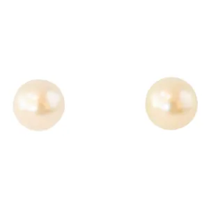 Light Golden South Sea Pearl Studs