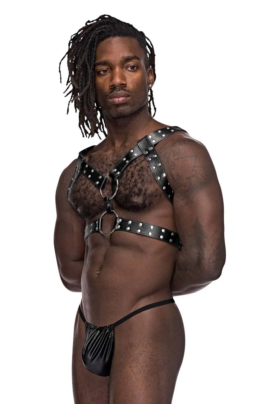 Male Power 591-266 Leather Gemini Harness