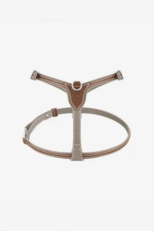 PAGERIE | THE PETITE M