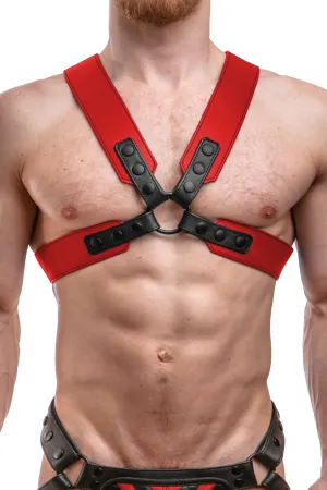 SERGEANT X HARNESS - Colour