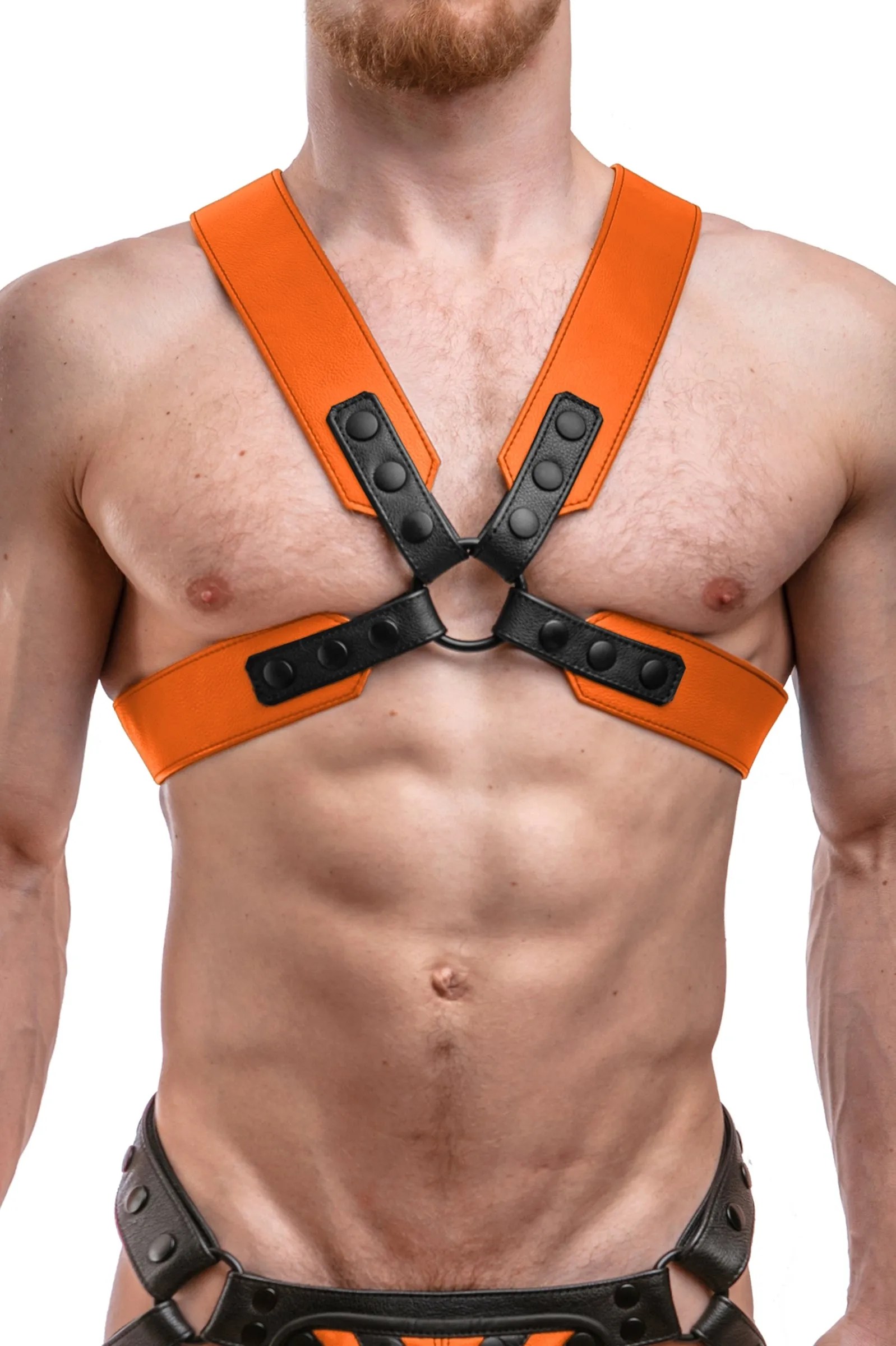 SERGEANT X HARNESS - Colour
