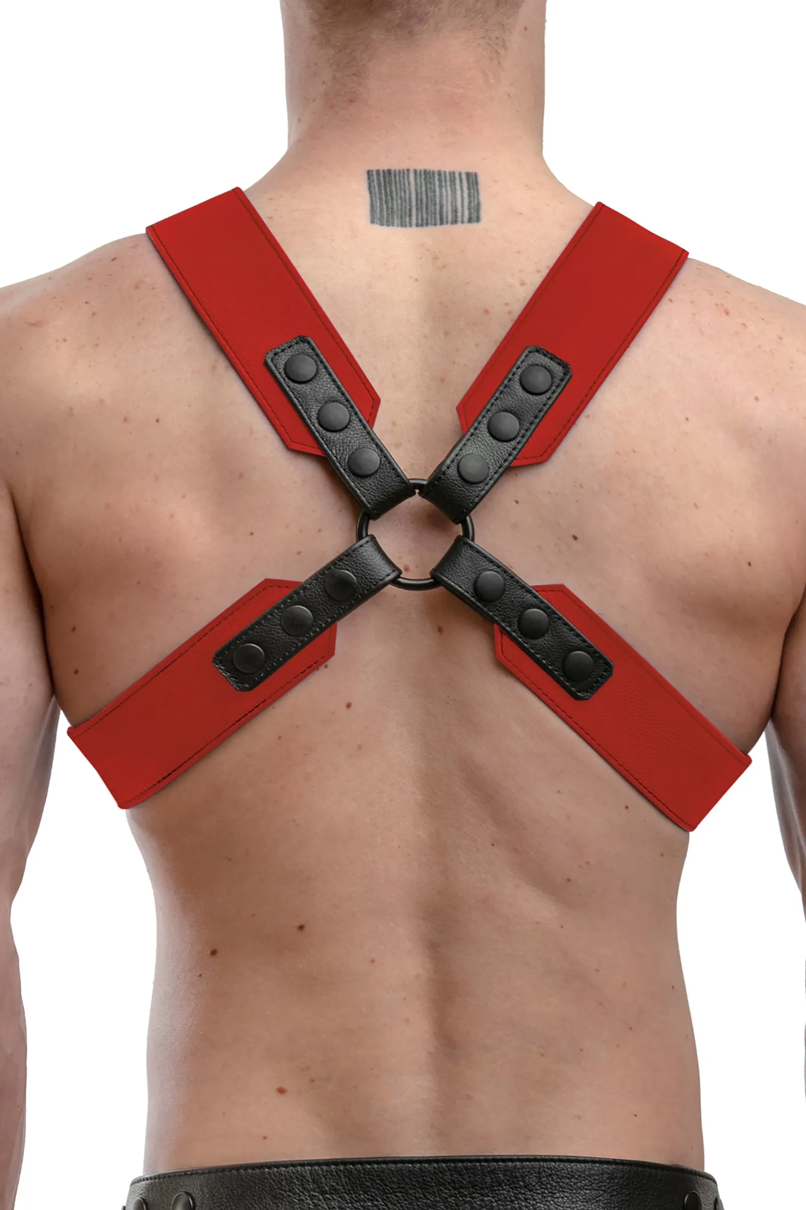 SERGEANT X HARNESS - Colour