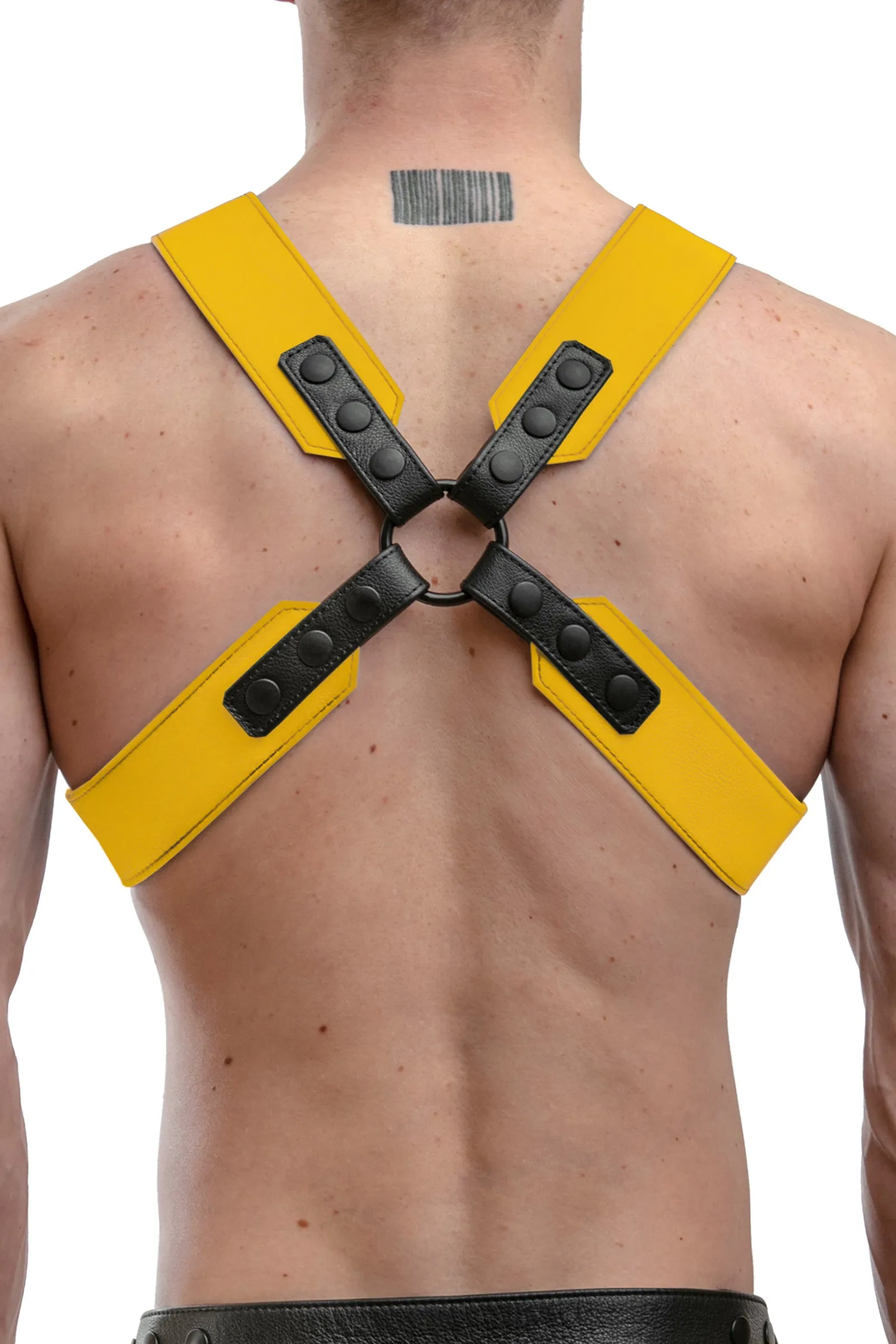 SERGEANT X HARNESS - Colour