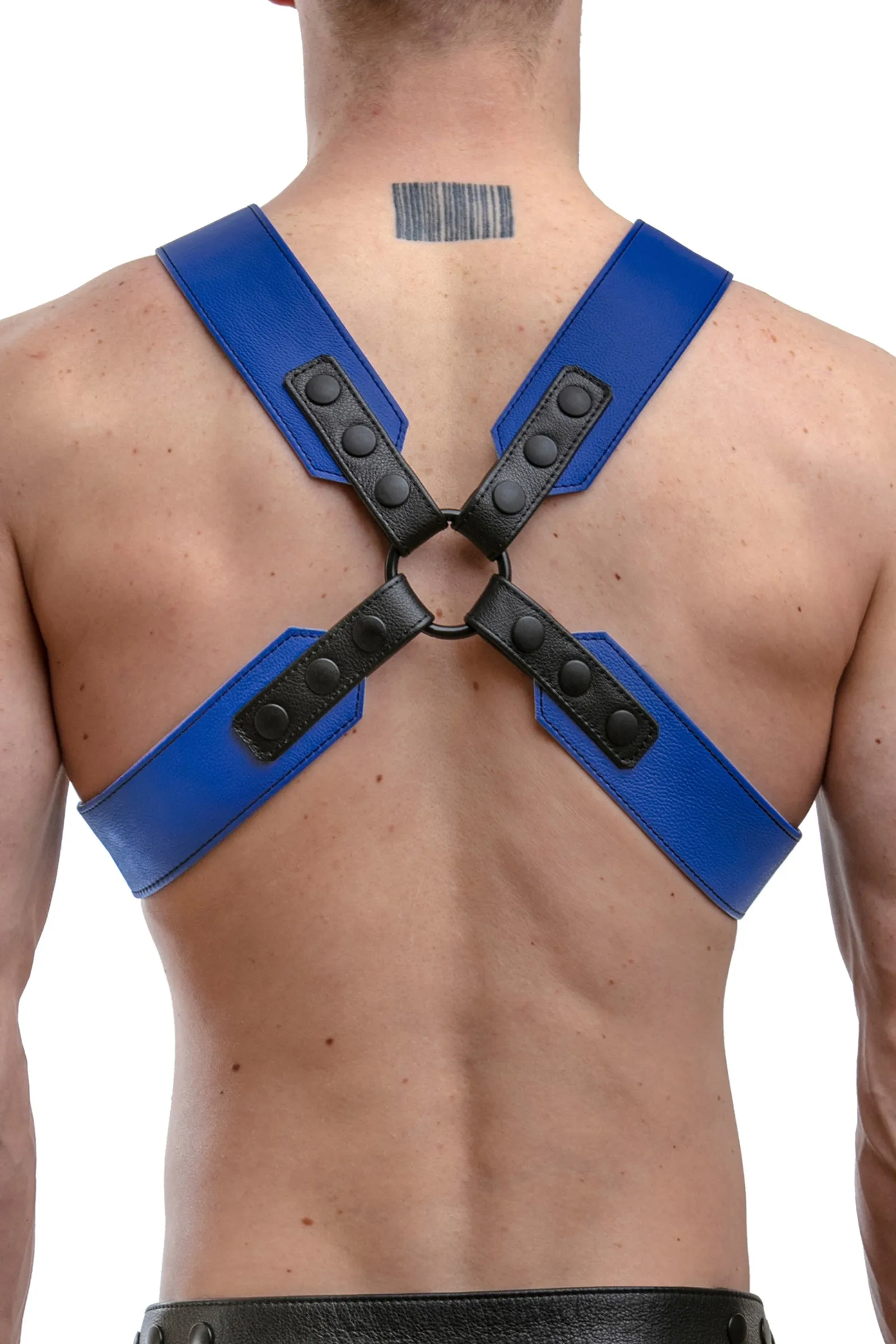 SERGEANT X HARNESS - Colour