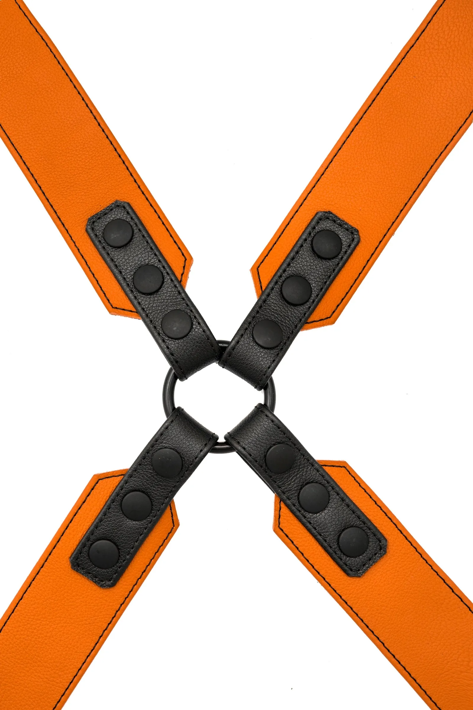 SERGEANT X HARNESS - Colour