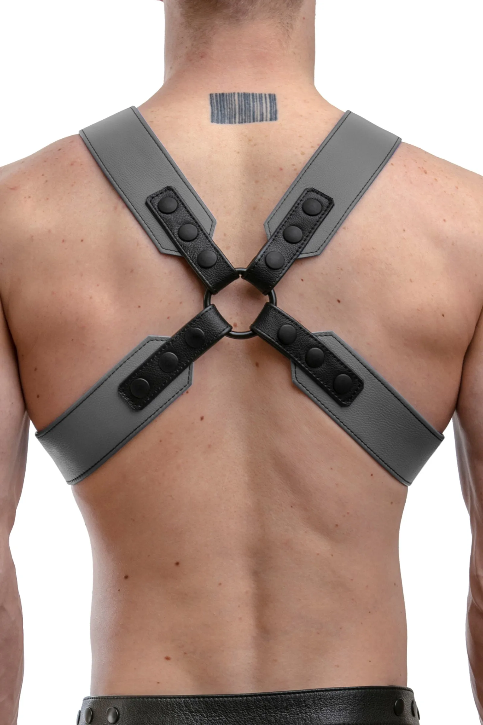 SERGEANT X HARNESS - Colour